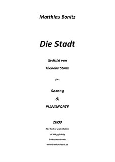 Die Stadt: Die Stadt by Matthias Bonitz