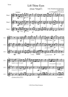 Elijah, Op.70: Lift thine eyes, for 3 flutes by Felix Mendelssohn-Bartholdy