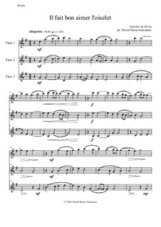 Il fait bon aimer l'oiselet: For 3 flutes by Antonie de Fevin