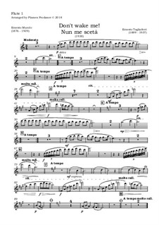 Nun me sceta...!: For tenor and symphony orchestra – all parts by Ernesto Tagliaferri