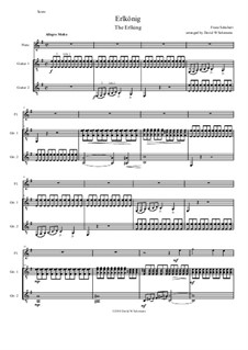 Erlkönig (Forest King), D.328 Op.1: For flute and 2 guitars by Franz Schubert