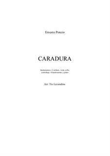 Caradura (Shameless): Caradura (Shameless) by Ernesto Ponzio