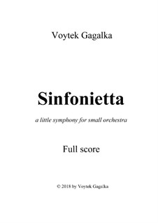 Sinfonietta: Sinfonietta by Voytek Gagalka
