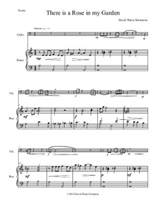 There is a Rose in my Garden: For cello and piano by David W Solomons