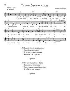 Библейские темы, Nos.71-100, Op.13: No.78 Ту ночь борения в саду by Stanislav Magen