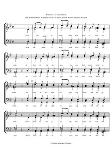 Winterreise, Nr.73-105, Op.23: Nr.73 Eenzaamheid by Werner Schneider-Wiegand