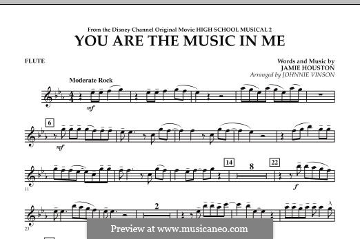 You are the Music in Me (High School Musical 2): Flute part by Jamie Houston