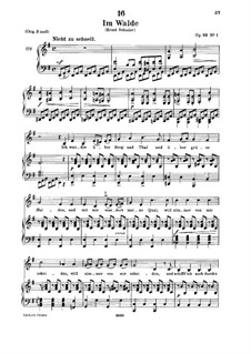 Im Walde (In the Forest), D.708: For low voice and piano by Franz Schubert