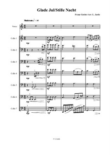 Ensemble version: For voice and cellos by Franz Xaver Gruber