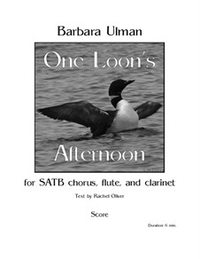 One Loon's Afternoon: One Loon's Afternoon by Barbara Ulman