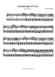 Serenatas, Op.137: Serenata No.5 in Sol Minore by Marzia Gaggioli