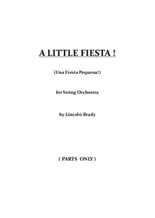 A Little Fiesta!: For string orchestra - parts only by Lincoln Brady