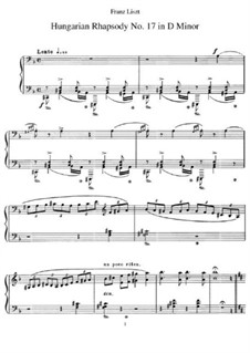 No.17 in D Minor, S.244: For piano by Franz Liszt