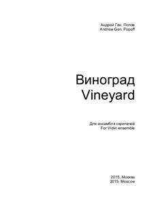 Vineyard: Vineyard by Andrey Popov