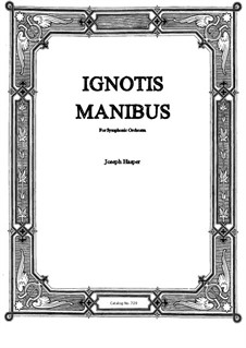 Ignotis Manibus (The Unseen Hand): Ignotis Manibus (The Unseen Hand) by Joseph Hasper