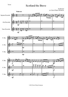 15 easy trios for recorder trio (soprano, alto, tenor): Scotland the brave by folklore