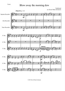 15 easy trios for recorder trio (soprano, alto, tenor): Blow away the morning dew by folklore