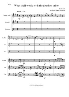 15 easy trios for brass trio (trumpet, horn, trombone): Drunken Sailor by folklore