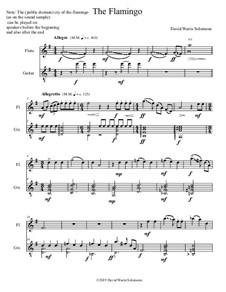 The Flamingo: Flute and guitar and optional sample by David W Solomons