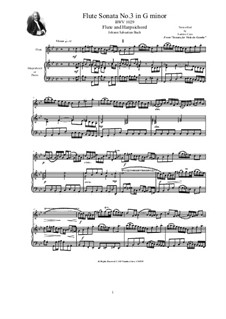 Sonata for Viola da Gamba and Harpsichord No.3 in G Minor, BWV 1029: Arrangement for flute and harpsichord (or piano) by Johann Sebastian Bach