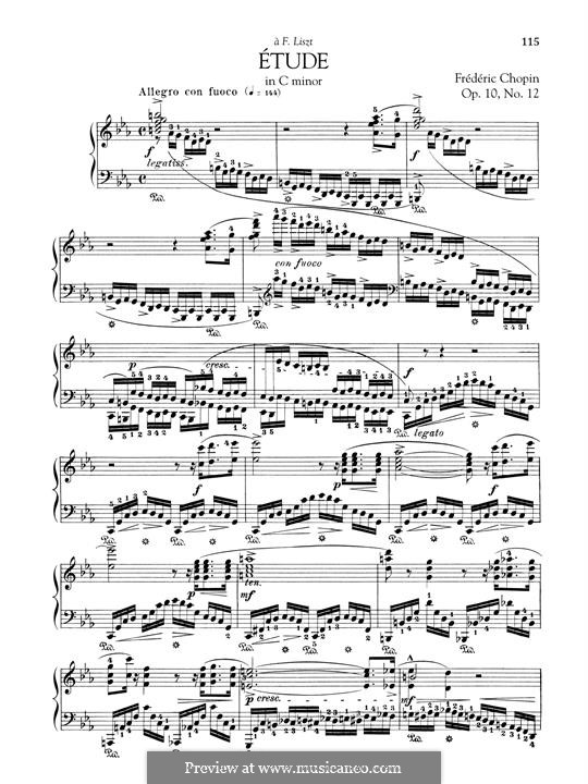 No.12 in C Minor: For piano by Frédéric Chopin