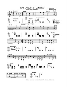 Aprender concertina - Vira Picado - Nova Numerica: Aprender concertina - Vira Picado - Nova Numerica by folklore