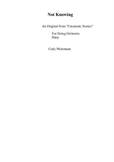 Not Knowing for Harp and String Quartet, Op.1: Not Knowing for Harp and String Quartet by Cody Weinmann