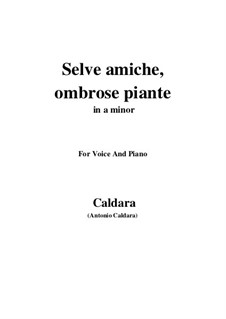 Selve amiche, ombrose piante: For voice and piano (a minor) by Antonio Caldara