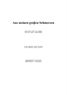 Twelve Songs, Op.5: No.1 Aus meinen grossen Schmerzen (G flat Major) by Robert Franz