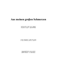 Twelve Songs, Op.5: No.1 Aus meinen grossen Schmerzen (D flat Major) by Robert Franz