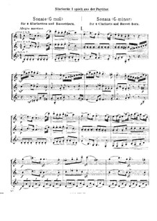 Sonata for Two Clarinets and Bassett Horn (or Bassoon) in G Minor: Full score by Robert Stark