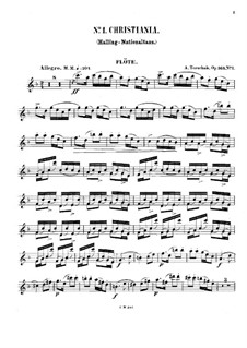Nordlands Bilder für Flöte und Klavier, Op.164: Solo part by Adolf Terschak