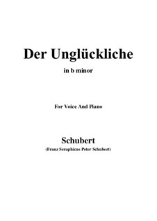 Der Unglückliche (The Unhappy One), D.713 Op.87 No.1: For voice and piano (b minor) by Franz Schubert