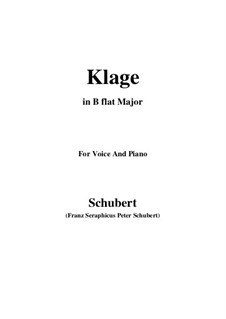 Klage (Lament), D.415: For voice and piano (g minor) by Franz Schubert