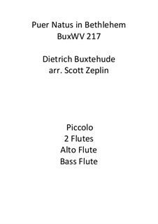 Puer natus in Bethlehem, BuxWV 217: For flute quintet by Dietrich Buxtehude