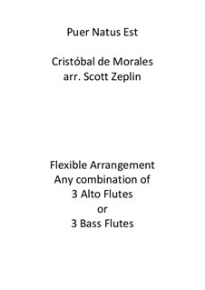 Puer Natus Est: For flute trio by Cristóbal de Morales