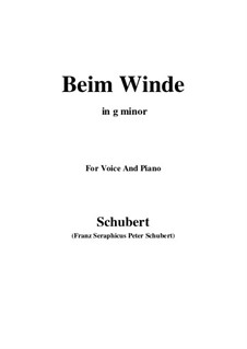 Beim Winde (When the Wind Blows), D.669: G minor by Franz Schubert