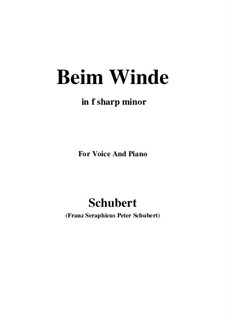 Beim Winde (When the Wind Blows), D.669: F sharp minor by Franz Schubert