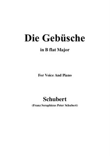 Die Gebüsche (The Bushes), D.646: B flat Major by Franz Schubert