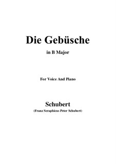 Die Gebüsche (The Bushes), D.646: B Major by Franz Schubert