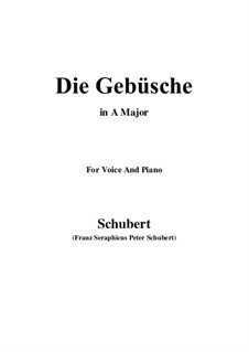 Die Gebüsche (The Bushes), D.646: A Major by Franz Schubert