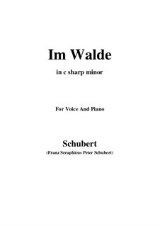 Im Walde (In the Forest), D.834 Op.93 No.1: For voice and piano (c sharp minor) by Franz Schubert