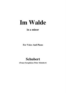 Im Walde (In the Forest), D.834 Op.93 No.1: For voice and piano (a minor) by Franz Schubert