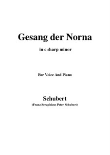 No.13 Der Doppelgänger (The Double): For voice and piano (f sharp minor) by Franz Schubert