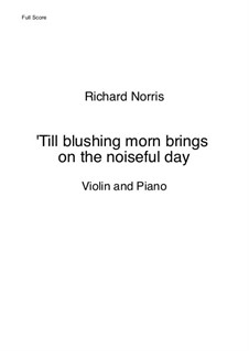 'Till Blushing Morn brings on the Noiseful Day: 'Till Blushing Morn brings on the Noiseful Day by Richard Norris