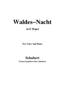 Im Walde (In the Forest), D.708: For voice and piano (E Major) by Franz Schubert