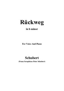 Rückweg (The Way Back), D.476: B minor by Franz Schubert