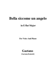 Don Pasquale: Bella siccome un angelo (E flat Major) by Gaetano Donizetti