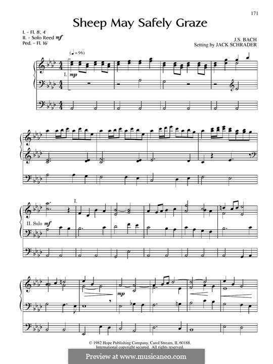 Sheep May Safely Graze (Printable Scores): For organ by Johann Sebastian Bach