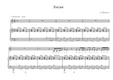 Элегия: Элегия by Svetlana Shwezowa